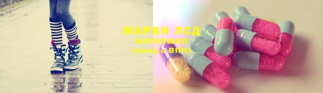 МДПВ Нефтекумск
