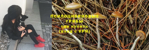 стафф Нефтегорск