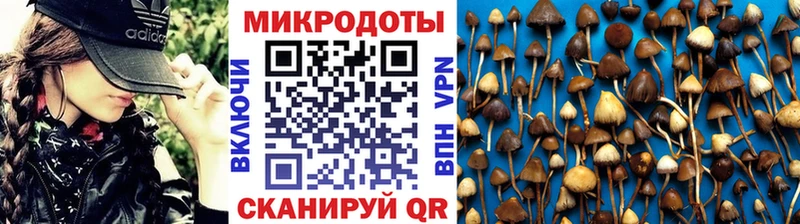 Купить  Щигры  Галлюциногенные грибы Magic Shrooms 